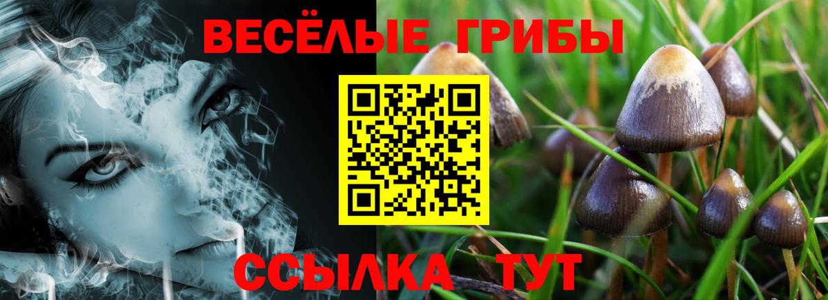 где купить наркоту  Вход с VPN  Ухта  Псилоцибиновые грибы Magic Shrooms 